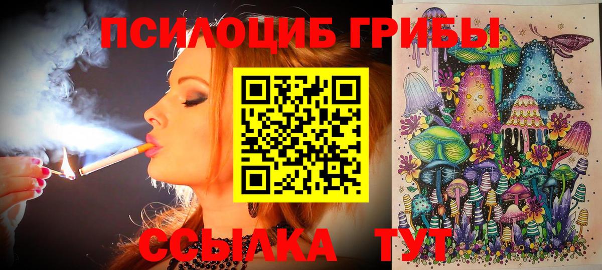 Галлюциногенные грибы Psilocybine cubensis  Вход с VPN  Усть-Илимск 