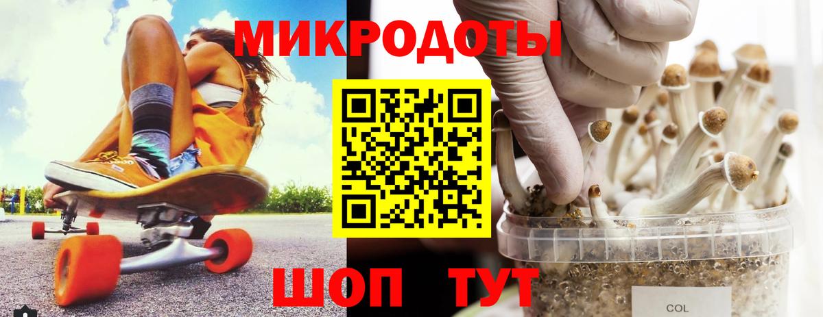 Галлюциногенные грибы Psilocybine cubensis Усть-Илимск
